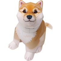 Shiba Inu (tan/white)