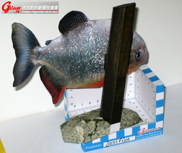 食人魚04.jpg